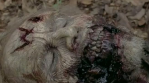 Screen Shot 2015-03-22 at 10.34.35 PM